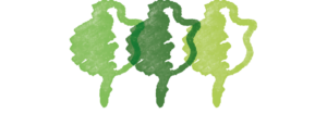 Logo_Grafik
