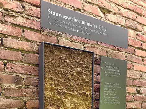 Schwach pseudovergleyter Gley aus Hochflutlehm über Niederterrassensand