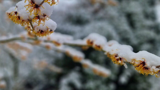 Slider_Winter03